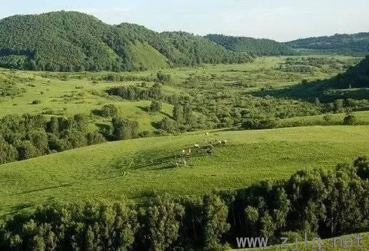 河北要建“國家1號公路”！世界級景觀長廊來了